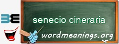 WordMeaning blackboard for senecio cineraria